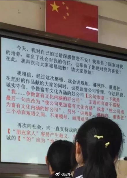 范冰冰道歉信被抓出「10大語法錯誤」 慘變語文教材警惕中學生!