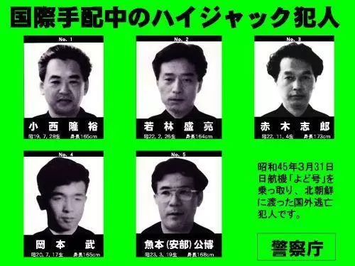 日本史上最離奇劫機!客機半途被劫機 警方對峙後逼交出武器...竟全是玩具