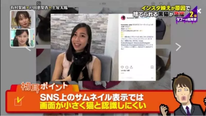 收留所70%都是黑貓!「自拍起來不可愛」讓棄養率暴增 IG卻意外變幫凶...
