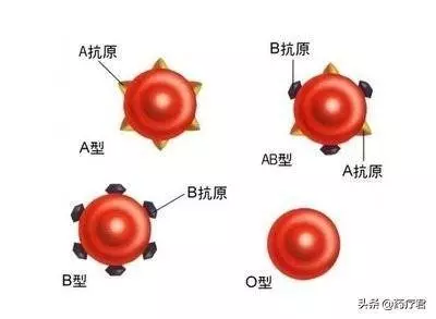 B型血易患糖尿病，A型血要警惕心臟病！最健康的血型居然是它！