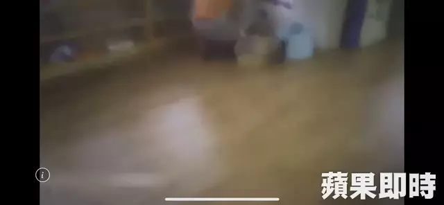 惡劣!甲等托嬰中心虐打1歲童 民眾不滿丟雞蛋抗議