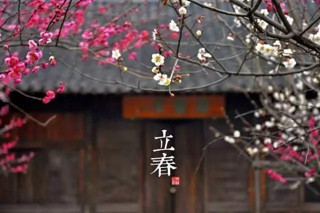 2019年立春(2月4日)開運法,七招讓你旺一整年!