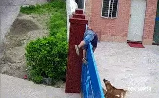 養狗之後,我最害怕遇到這幾種人