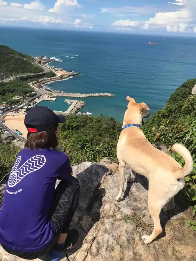 被遺棄過的狗狗有多害怕失去,散步的時候轉個彎,都要回頭找主人