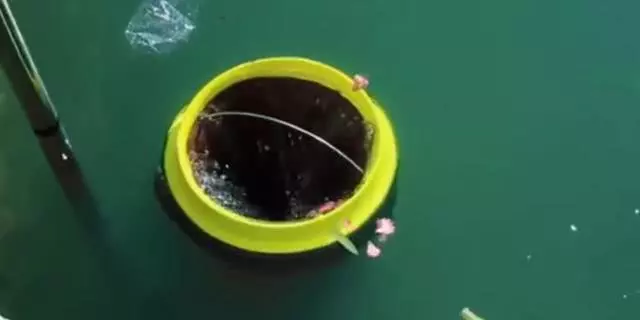 為挽救海洋生命,2人堅持10年發明的黑科技,凈化海洋水質