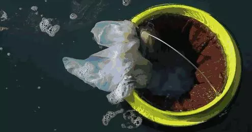 為挽救海洋生命,2人堅持10年發明的黑科技,凈化海洋水質