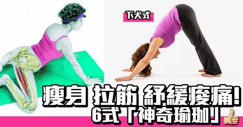 「6式 INS爆紅的腹肌瑜珈 」集瘦身、拉筋、強化脊椎功能!輕鬆令你練出六塊腹肌!