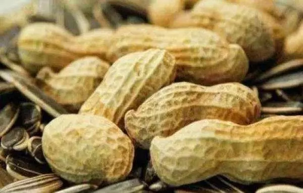 原來吃蝦皮並不補鈣?醫生:真正補鈣的4種食物,很多人並不愛吃