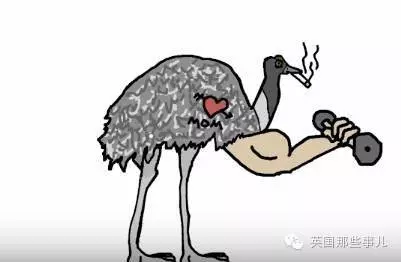 史上最奇葩戰爭!澳洲皇家軍團與鴯鶓開戰2次,用了上萬發子彈還是認輸