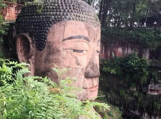 63歲老農在樂山大佛發現了這個,連專家都沒看出來,獎勵了280萬!