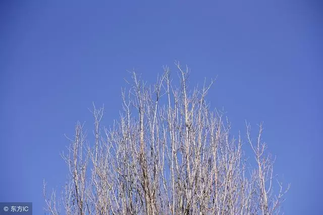 我懷孕婆婆看不慣我,老公一巴掌把我打進醫院,我恨透了他們