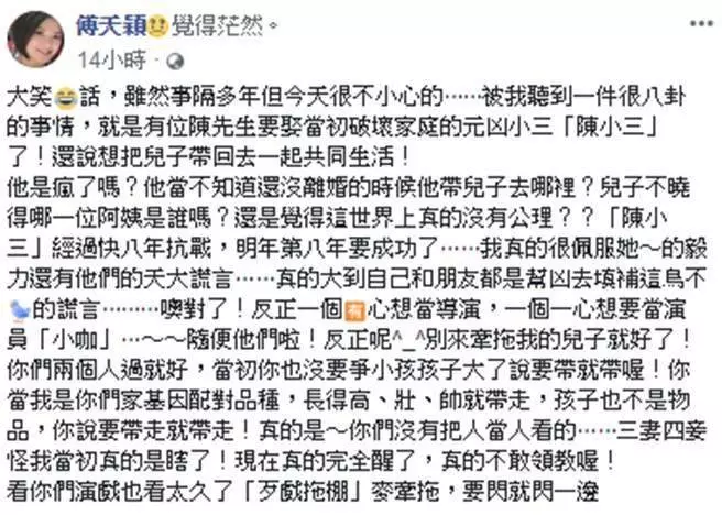 不爽陳子強再婚!傅天穎臉書暴走「小三篡位成功」還想搶兒子,吞忍5年飆罵:「佩服你們的謊言」!