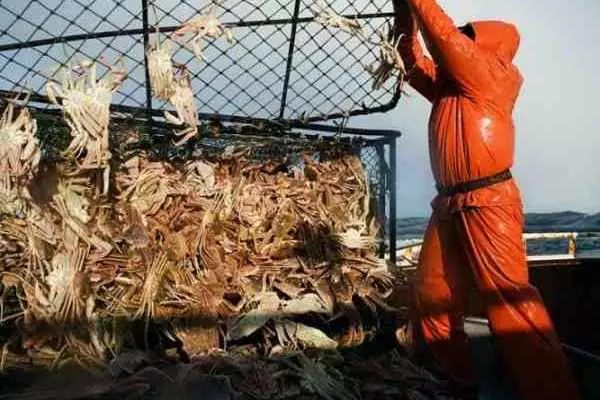 【一年做5天就狂撈300萬】超賺工作卻沒人應徵