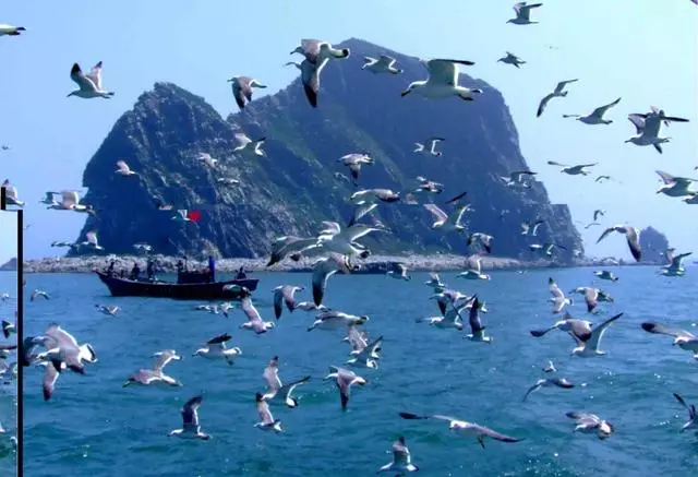 中國最美的島嶼,天然的海上大花園,一句話:不收門票,不宰客