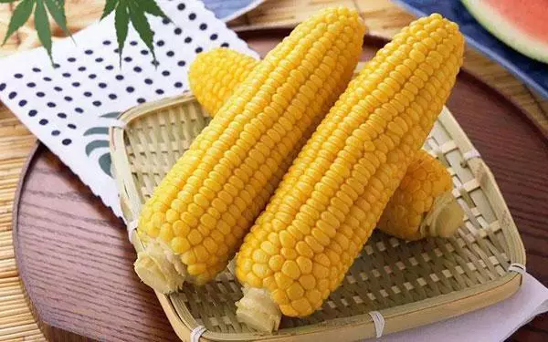玉米有防癌抗癌健脾胃補血的功效,不能和這3種食物同吃,記住了