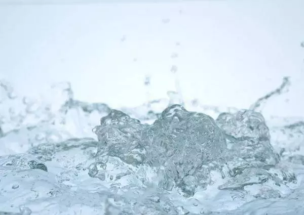 壁虎最怕的7種東西,壁虎看到都掉頭走,以後再也看不見它了