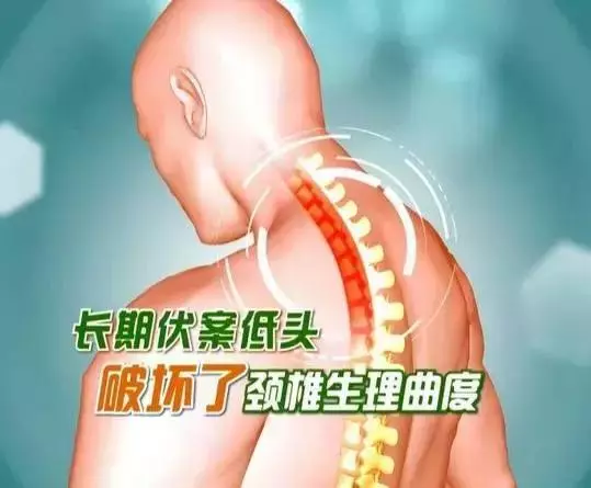 後溪是小腸經上的一個穴