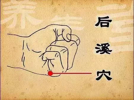 後溪是小腸經上的一個穴