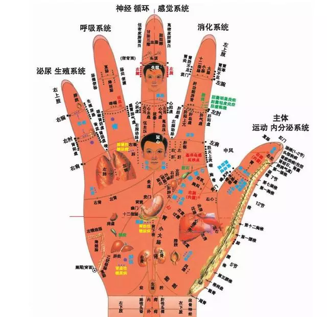中醫「望診」,從手掌看身體的情況