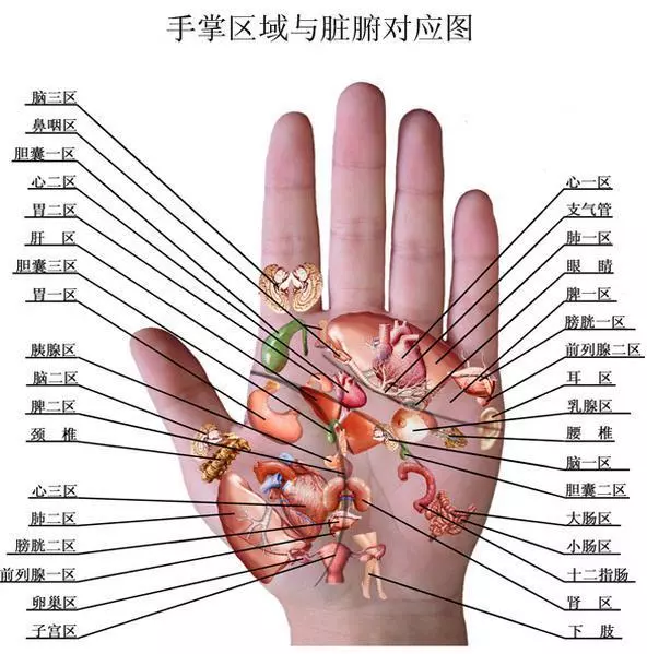 中醫「望診」,從手掌看身體的情況