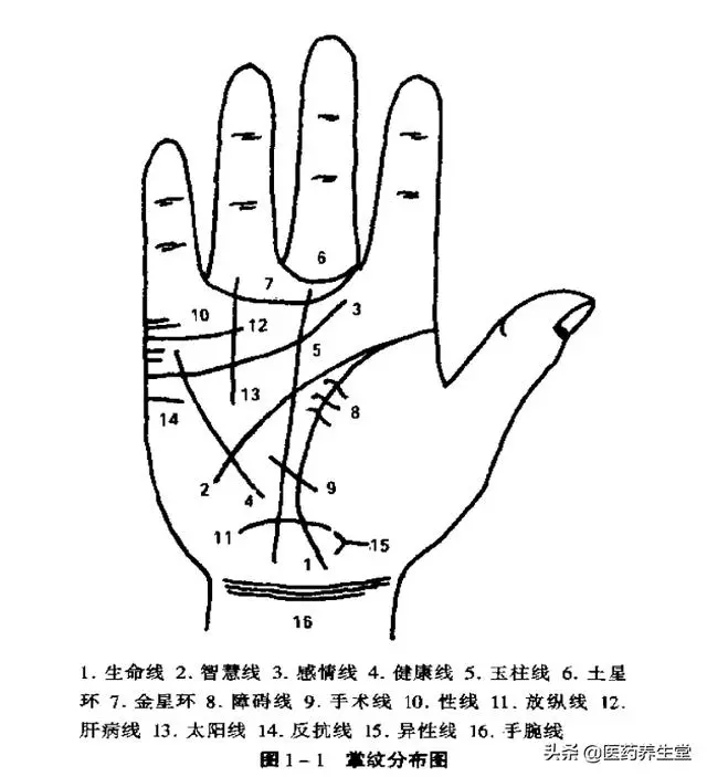 一口氣讀懂中醫手診,通俗易懂!收藏下來吧