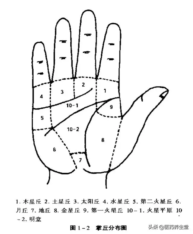 一口氣讀懂中醫手診,通俗易懂!收藏下來吧