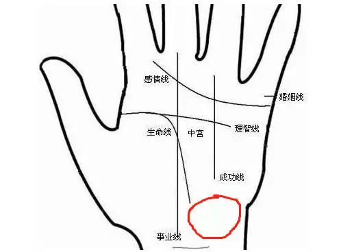 【 學看手相能醫病 】