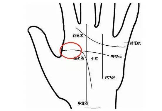 【 學看手相能醫病 】