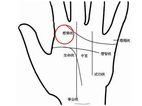 【 學看手相能醫病 】