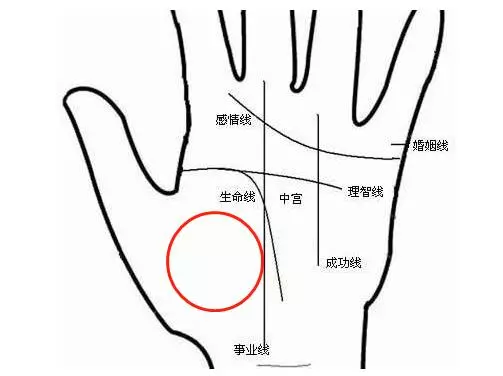 【 學看手相能醫病 】