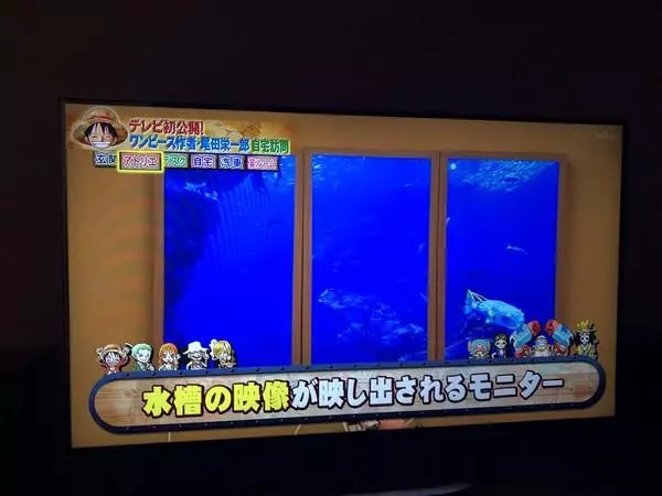尾田榮一郎豪宅帶你逛!地板踩了會變色……庭院烤肉大廚竟然是「木村拓哉」