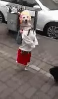 發個笑話給你,有本事,忍住別笑!哈哈,忍不住了..