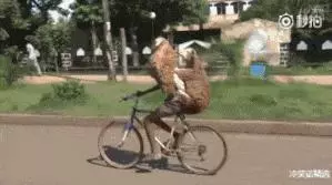 發個笑話給你,有本事,忍住別笑!哈哈,忍不住了..