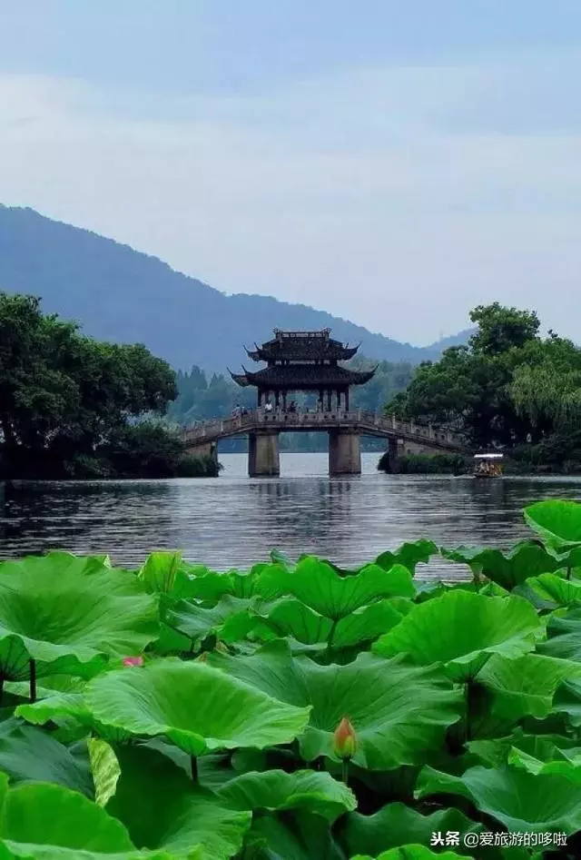 旅行達人2019必去的旅行地,你中意哪個?