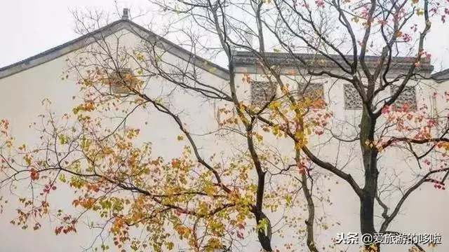 旅行達人2019必去的旅行地,你中意哪個?