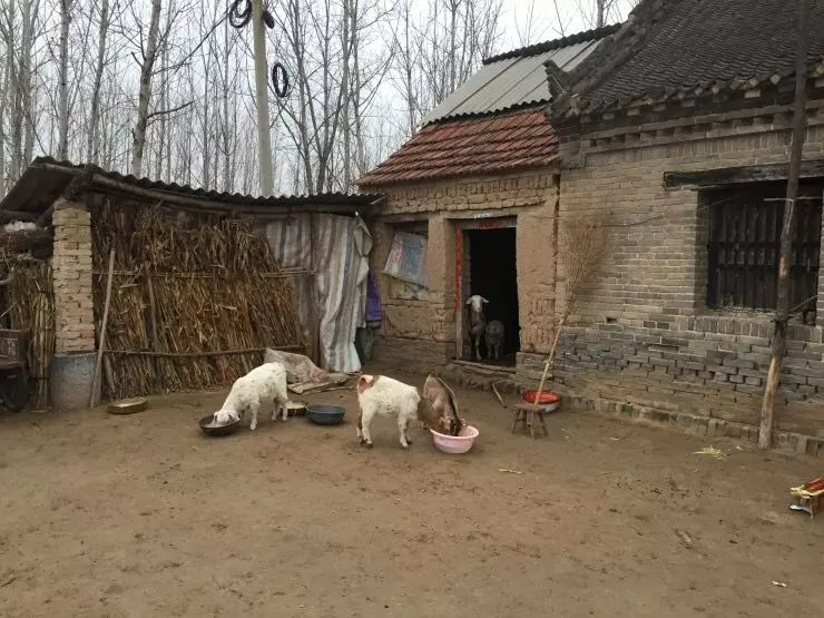 兒子元旦回村,帶一42歲女友,母親將她趕走,隔天拉開門,蒙了