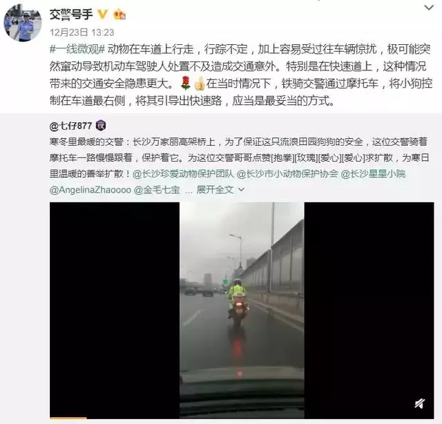 這些愛,溫暖了整個2018