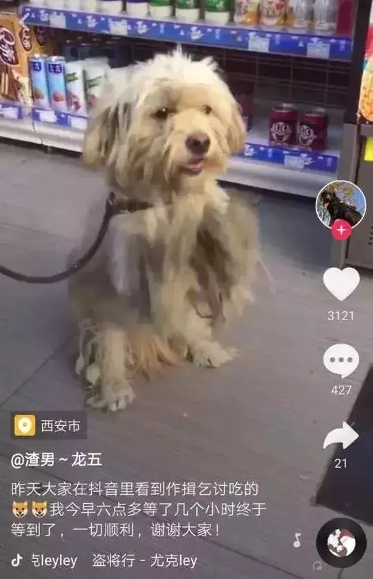 這些愛,溫暖了整個2018