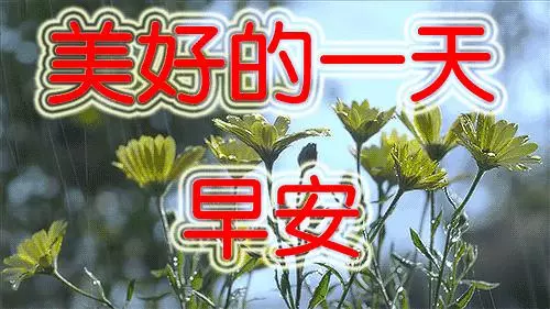 【早安】朋友,願你三冬暖,願你春不寒;願你天黑有燈,下雨有傘