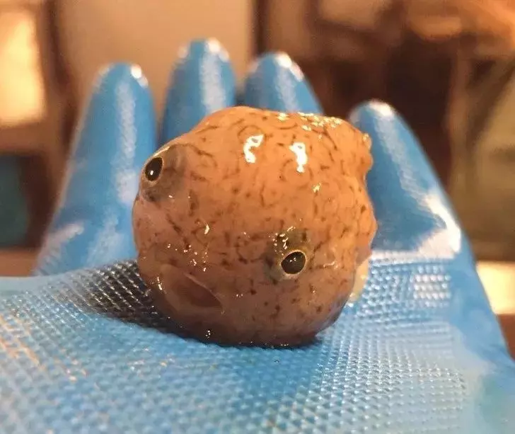 28張非同一般的照片,不是經常能看到的