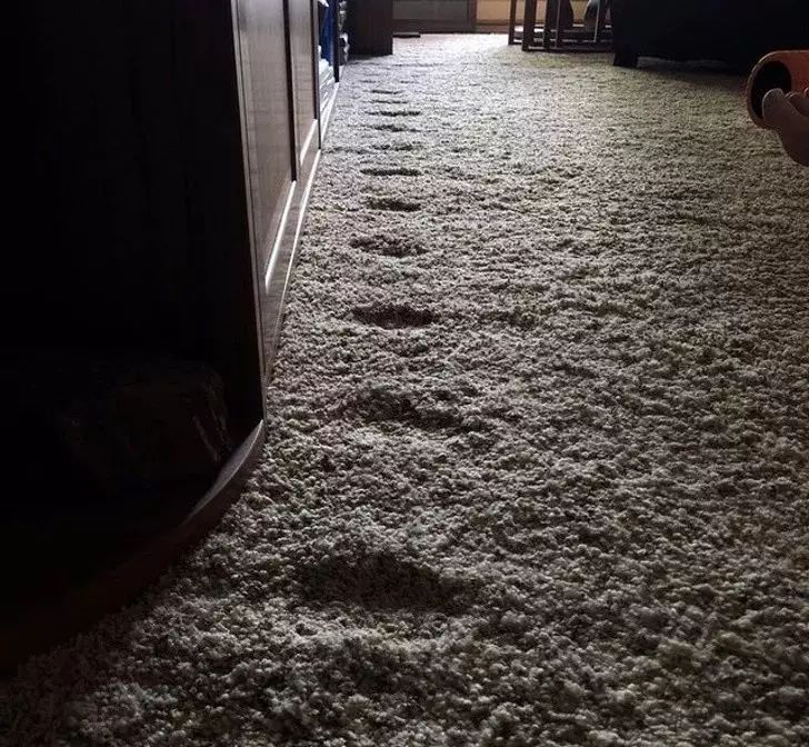 28張非同一般的照片,不是經常能看到的