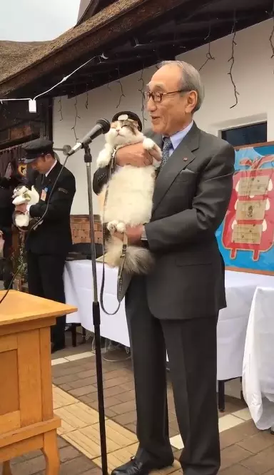 貓站長「就職12周年」紀念日!一開口致詞「霸氣:喵嗚~」網笑:快結束啦