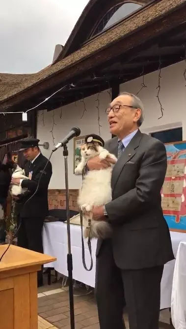 貓站長「就職12周年」紀念日!一開口致詞「霸氣:喵嗚~」網笑:快結束啦