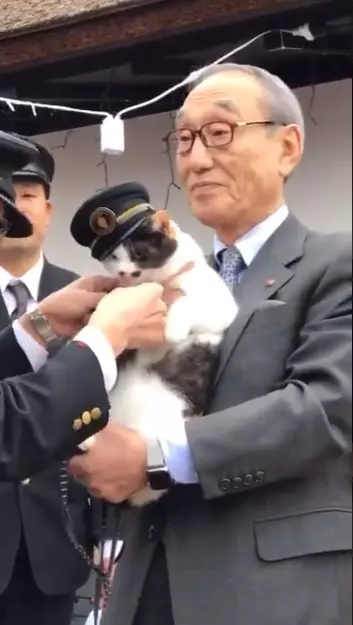 貓站長「就職12周年」紀念日!一開口致詞「霸氣:喵嗚~」網笑:快結束啦