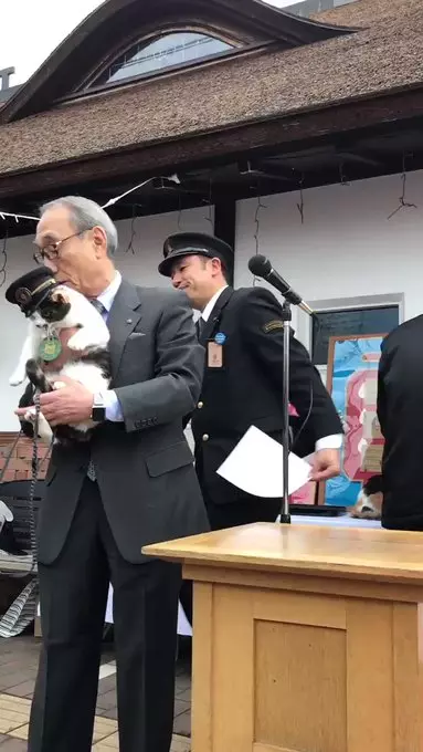 貓站長「就職12周年」紀念日!一開口致詞「霸氣:喵嗚~」網笑:快結束啦