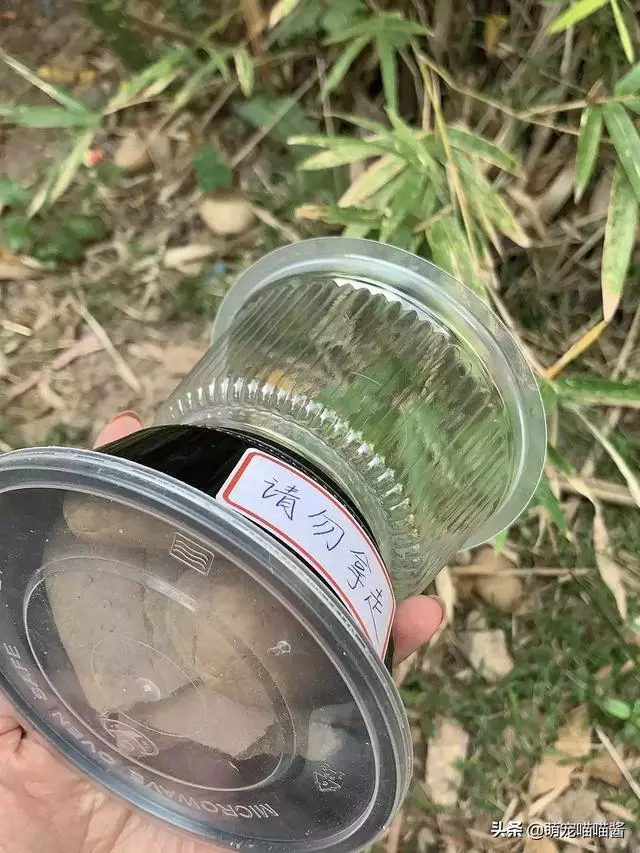 喂流浪貓的食物怕吹走?做一套送給流浪貓的精緻小餐具吧!