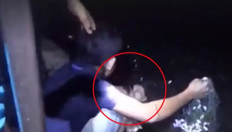 河童現身!?男子蓮花池捕魚突遭「神秘黑爪」秒拖入水中消失!驚悚畫面曝光~