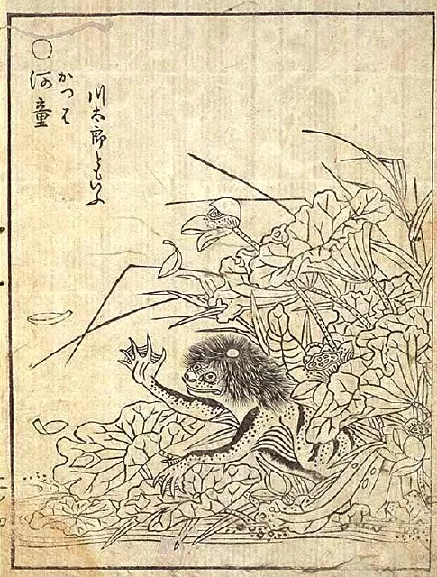 河童現身!?男子蓮花池捕魚突遭「神秘黑爪」秒拖入水中消失!驚悚畫面曝光~