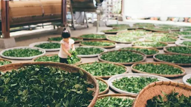 不懂得放手的父母,養不出有出息的孩子