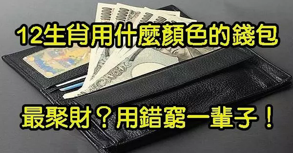 「12生肖」用什麼顏色的錢包最聚財?用錯窮一輩子!看了讓你的財運越來越旺!